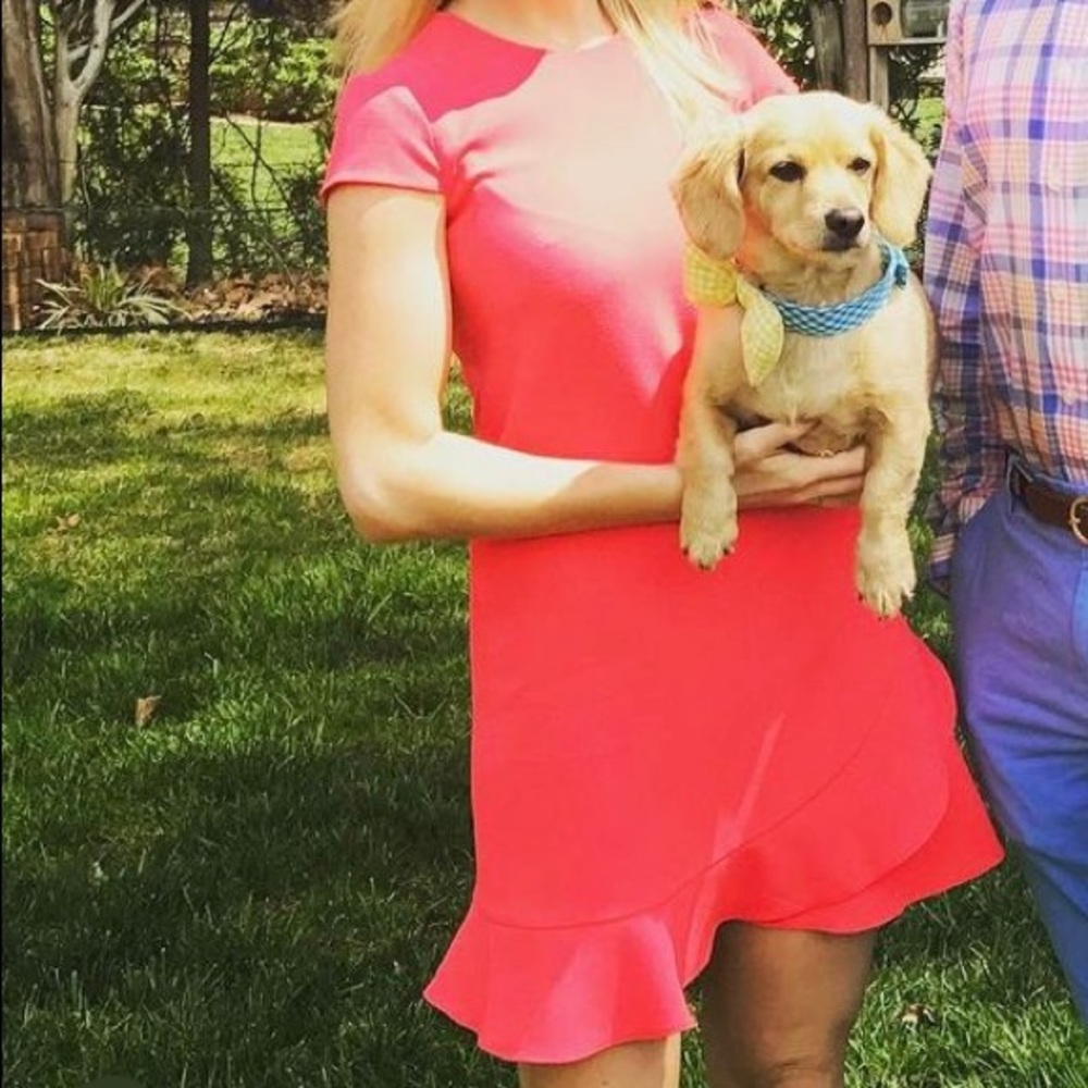 Eliza J hot pink cocktail dress - Picture 4 of 4